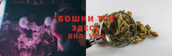 ПСИЛОЦИБИНОВЫЕ ГРИБЫ Вязники