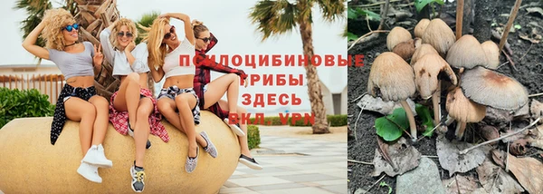 шишки Пестово
