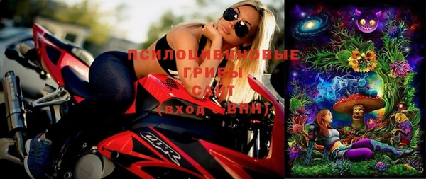 шишки Пестово