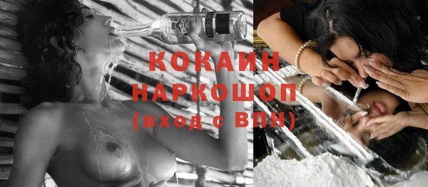 шишки Пестово